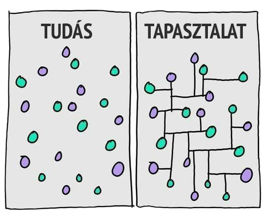 Tudás és tapasztalat